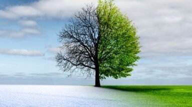 Embracing Change: Transformative Steps for Personal Growth