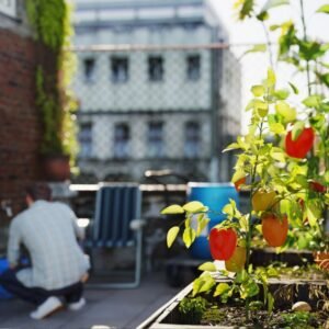 Urban Gardening for Fitness: Cultivating Health in Your Backyard