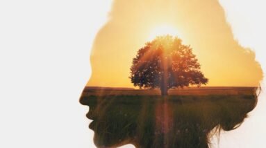 Finding Balance: Wellness Practices for Personal Growth