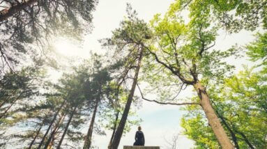 Nature as a Catalyst for Holistic Mind-Body Healing