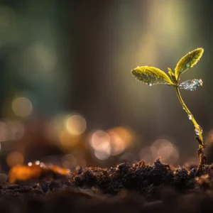 Personal Growth Feels Better When It Happens Naturally