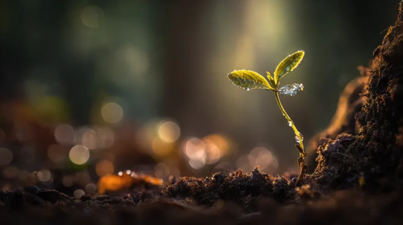 Personal Growth Feels Better When It Happens Naturally