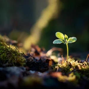 Personal Growth Lessons From Nature’s Own Quiet Patience