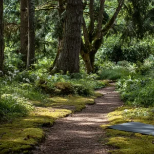 Natural Paths to Work-Life Balance Bliss